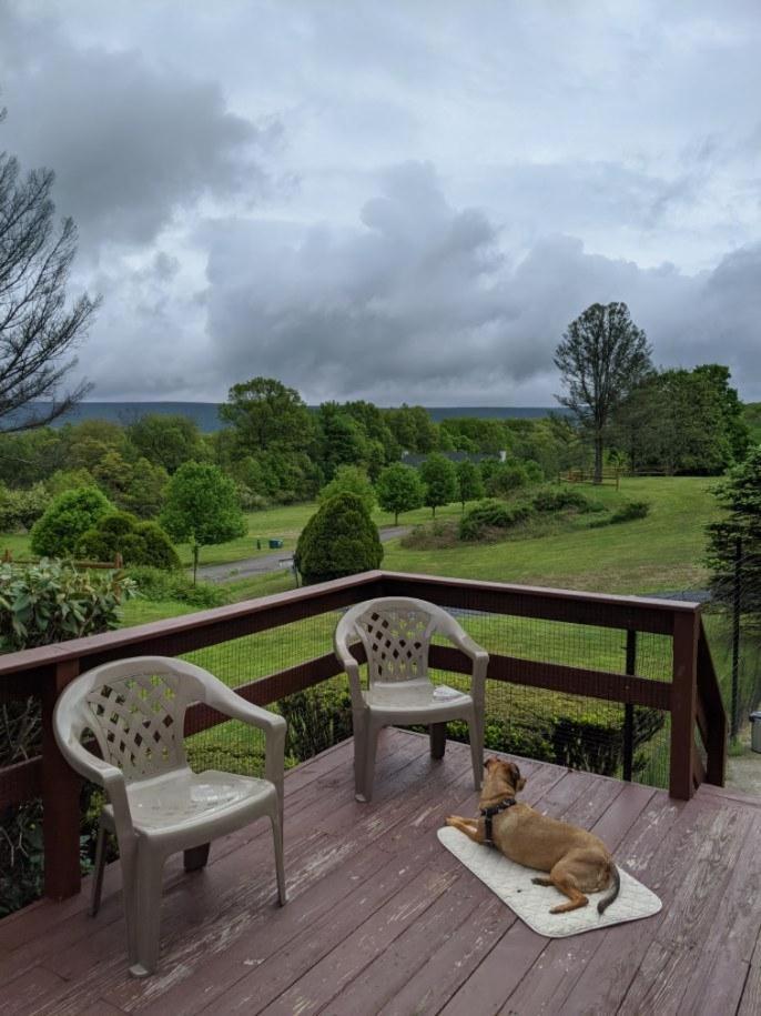 Fenced Yard Chalets From Good Dog Vacations At Big Valley Resort Sciota Ngoại thất bức ảnh